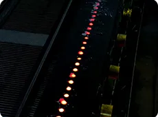 Sample Extraction