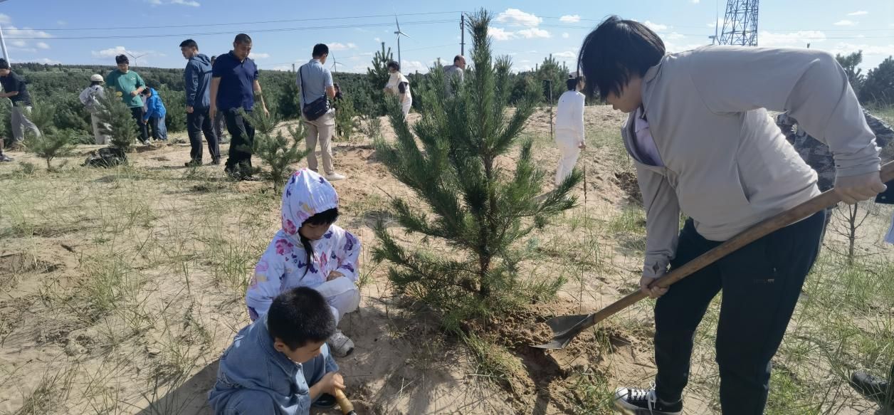 Hebei businesspeople unite to plant new greenery and jointly build an ecological protection line