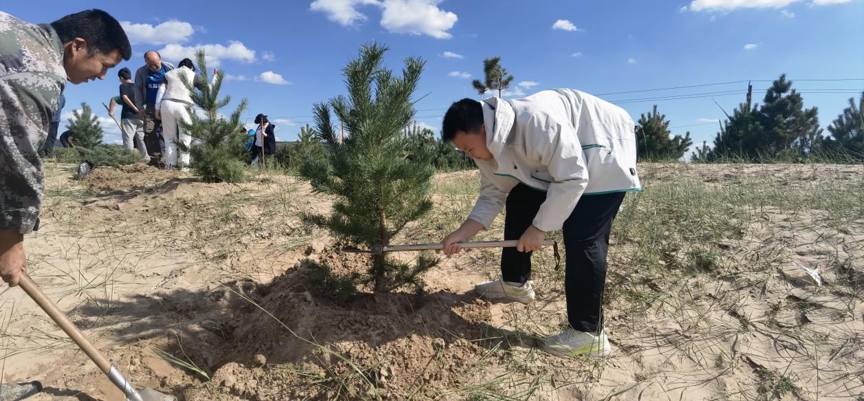 Hebei businesspeople unite to plant new greenery and jointly build an ecological protection line