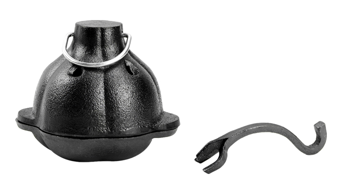 Garlic roasting device